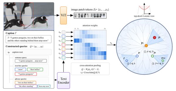 architecture diagram of an image-text model mapping captions and image regions into a hyperbolic Lorentz space