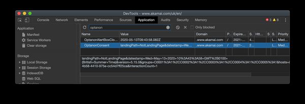 Developer tools showing optnanon cookie is set